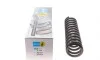 Пружина (передняя) MB E-class (W124/S124) 86-96 M103/M104/OM/602/OM603 (B3) BILSTEIN 36-225996 (фото 1)