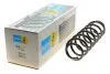 Пружина (задняя) VW Polo 1.2-1.4/1.4-1.9TDI 01-09/Skoda Fabia 1.0-1.2TSI/1.2-1.4TDI 07- (B3) BILSTEIN 36300075 (фото 1)