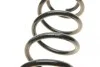 Пружина (задняя) VW Polo 1.2-1.4/1.4-1.9TDI 01-09/Skoda Fabia 1.0-1.2TSI/1.2-1.4TDI 07- (B3) BILSTEIN 36300075 (фото 2)