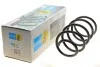Пружина (передняя) BMW X1 (E84) 09-15 N47/N20 (B3) BILSTEIN 37251499 (фото 1)