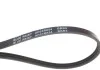 Ремінь генератора Smart 0.6/0.7i/0.8cdi/ Nissan Almera 1.5-1.8 00- BLUE PRINT AD03R854 (фото 2)