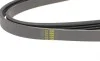 Ремінь генератора Suzuki Grand Vitara 2.5-2.7 98-03/ Honda Stream 1.7 01- / Nissan 300 ZX 3.0 84-90 BLUE PRINT AD04R1025 (фото 3)