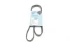 Ремень генератора Renault Clio/Kangoo 1.4i/1.6 98-03 / Toyota Land Cruiser 4.2 98-07 (4PK1237) BLUE PRINT AD04R1237 (фото 1)