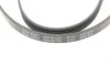 Ремень генератора Renault Clio/Kangoo 1.4i/1.6 98-03 / Toyota Land Cruiser 4.2 98-07 (4PK1237) BLUE PRINT AD04R1237 (фото 3)