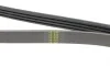 Ремінь генератора Renault Clio/Kangoo 1.4i/1.6 98-03/ Toyota Land Cruiser 4.2 98-07 BLUE PRINT AD04R1240 (фото 3)