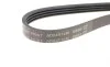 Ремінь генератора Renault Clio/Kangoo 1.4i/1.6 98-03/ Toyota Land Cruiser 4.2 98-07 BLUE PRINT AD04R1240 (фото 4)