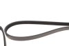 Пасок велоклиновий BLUE PRINT AD04R1719 (фото 3)