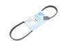 Ремінь генератора Renault Kangoo 1.6i 08-/ Nissan Micra1.0-1.4 92-03 BLUE PRINT AD04R725 (фото 1)
