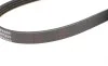 Ремінь генератора Honda Civic VI/ Nissan Primera 1.4-1.6 94-01/ Lexus GS 3.5 12-/ Toyota IQ 1.3 09- BLUE PRINT AD04R800 (фото 3)