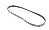 Ремінь генератора Honda Civic VI/ Nissan Primera 1.4-1.6 94-01/ Lexus GS 3.5 12-/ Toyota IQ 1.3 09- BLUE PRINT AD04R800 (фото 5)