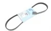 Ремінь генератора Suzuki Swift 1.0i 95-05/ Honda Civic 1.4-1.6 94-01/ Nissan Primera1.6-2.0 96-02 BLUE PRINT AD04R823 (фото 1)
