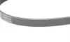 Ремінь генератора Fiat Doblo 1.2i 01-/ Chevrolet Aveo 1.2 08-/ Spark 1.0-1.2 10- BLUE PRINT AD04R840 (фото 3)
