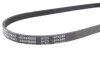 Ремень генератора Mazda 323 1.3-1.8 -93/Hyundai Elantra 2.0 00-06/Toyota Camry 3.0 96-06 BLUE PRINT AD04R880 (фото 2)