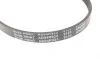 Ремень генератора Mazda 626 1.8/2.0i 91-97/ Suzuki Swift/ Vitara 1.0-1.9 89-05 BLUE PRINT AD04R925 (фото 4)