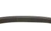 Ремень генератора Toyota Camry/ Celica/ Rav4 1.8-2.0 83-00 BLUE PRINT AD05R1000 (фото 2)