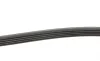 Ремень генератора Mazda 323/ 626/ Opel Astra G/ Vectra B/C/ Premacy 1.8-2.2 97-08 BLUE PRINT AD05R1030 (фото 2)