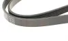 Ремень генератора Mazda 323/ 626/ Opel Astra G/ Vectra B/C/ Premacy 1.8-2.2 97-08 BLUE PRINT AD05R1030 (фото 3)