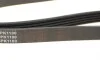 Ремень генератора Citroen Jumper 2.8HDI 00-/Honda Accord 1.9-2.0 93-98/ Toyota Carina 2.0 96-97 BLUE PRINT AD05R1100 (фото 3)