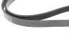 Ремень генератора Renault Kangoo/ Modus 1.4-1.6 04-/ Toyota Avensis/ Corolla 2.0 99-03 (5PK1135) BLUE PRINT AD05R1135 (фото 3)