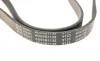 Ремень генератора Peugeot 605 2.0 89-99/ Ford Fiesta1.8 95-03/ Honda Civic/ Fit/ Jazz 1.2-1.4 02- BLUE PRINT AD05R1138 (фото 4)