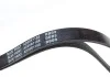 Ремень генератора Fiat Palio 1.2 97-/Land Rover Freelander 1.8i 98-06/ Toyota Corolla 2.0 D-4D 97-04 BLUE PRINT AD05R1188 (фото 2)