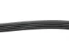 Ремінь генератора Hyundai i20/ i30 1.4 08-/ Toyota Avensis/ Carina 2.0 96-03 BLUE PRINT AD05R1212 (фото 2)