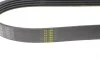 Ремінь генератора BMW 3 (E46)/ X5 (E53)/ 5 (E39) 2.5D-3.0D 98-06/ Land Rover Range Rover 3.0 D 02-12 BLUE PRINT AD05R810 (фото 3)