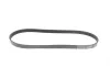 Ремень генератора Citroen Berlingo 1.1-1.4 96-/ Subaru Forester/ Impreza/ Legacy 1.6-2.5 92-09 BLUE PRINT AD05R880 (фото 3)