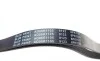 Ремень генератора Nissan Primera/Fiat Marea 1.8-2.4JTD 96-02/ Honda Accord 1.8-2.0 98-03 BLUE PRINT AD06R1105 (фото 2)
