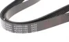 Ремінь генератора Fiat Doblo 1.3D Multijet/ Ducato 2.0JTD 01-/ VW Caddy/ Ford Fiesta 1.25-1.6 95- BLUE PRINT AD06R1180 (фото 3)