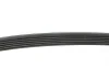 Ремінь генератора Renault Kangoo 1.5 dCi/ Citroen C5/ C6/ C8/ Xantia/ XM Break 2.0-2.2 92- BLUE PRINT AD06R1200 (фото 2)
