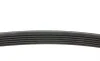 Ремінь генератора Hyundai i30/ Tucson/ ix20 1.4i-1.6 07-/ Kia Cee'd/Picanto/ Soul 1.0-1.6 06- BLUE PRINT AD06R1255 (фото 2)