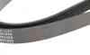 Ремінь генератора Hyundai i30/ Tucson/ ix20 1.4i-1.6 07-/ Kia Cee'd/Picanto/ Soul 1.0-1.6 06- BLUE PRINT AD06R1255 (фото 3)