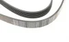 Ремень генератора VW Golf/VW Bora 2.3 -00/ Hyundai i30/ i40 2.0 CRDi/GDI 07- BLUE PRINT AD06R1285 (фото 3)