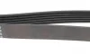 Ремінь 6PK1420 FORD Transit 94-00 RENAULT Laguna 1,8/2,0 VOLVO 850 2,5TDI DODGE Stratus BLUE PRINT AD06R1420 (фото 3)