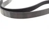 Ремень генератора Citroen Berlingo/Fiat Scudo 1.9D 68/ Ford Fiesta/ Mitsubishi Lancer 1.3-2.0 95-03 BLUE PRINT AD06R1435 (фото 2)