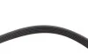 Ремень генератора Citroen Berlingo/Fiat Scudo 1.9D 68/ Ford Fiesta/ Mitsubishi Lancer 1.3-2.0 95-03 BLUE PRINT AD06R1435 (фото 4)