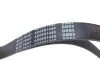 Ремень генератора Citroen Berlingo/ Fiat Scudo 1.9D/ Ford Fiesta 1.3 95-03/ Hyundai Accent 1.5 02-05 BLUE PRINT AD06R1440 (фото 2)