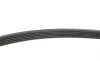 Ремень генератора Peugeot 206/ Citroen C5/ Xantia/ Xsara/Berlingo 1.4-2.0 96-/ Skoda Fabia 1.2 01-14 BLUE PRINT AD06R1454 (фото 2)