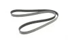 Ремень генератора Peugeot 206/ Citroen C5/ Xantia/ Xsara/Berlingo 1.4-2.0 96-/ Skoda Fabia 1.2 01-14 BLUE PRINT AD06R1454 (фото 4)