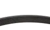 Ремінь генератора Ford Connect 1.8D/TDCi 02-/ Opel Combo 1.2-1.4i -01/ Honda Accord/ Civic 2.0 96-02 BLUE PRINT AD06R1460 (фото 2)
