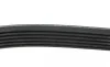 Ремень генератора VW LT 2.8TDI/ Suzuki Grand Vitara 2.0 HDI 01-05/ Audi 80/ A6/ A8 2.6-2.8 91- 97 BLUE PRINT AD06R1636 (фото 2)
