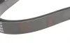 Ремень генератора VW LT 2.8TDI/ Suzuki Grand Vitara 2.0 HDI 01-05/ Audi 80/ A6/ A8 2.6-2.8 91- 97 BLUE PRINT AD06R1636 (фото 3)