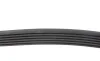 Ремень генератора VW LT 2.5TDI -06/T4 2.5 91-03/Ford Connect 1.8 TDCi 02-07/ Opel Astra 1.7 07- BLUE PRINT AD06R1718 (фото 2)