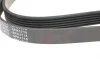 Ремень генератора VW LT 2.5TDI -06/T4 2.5 91-03/Ford Connect 1.8 TDCi 02-07/ Opel Astra 1.7 07- BLUE PRINT AD06R1718 (фото 3)