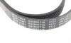 Ремень генератора VW LT 2.5TDI -06/T4 2.5 91-03/Ford Connect 1.8 TDCi 02-07/ Opel Astra 1.7 07- BLUE PRINT AD06R1718 (фото 4)