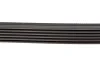 Ремень генератора Opel Vectra/Omega/Peugeot 206/Audi A6 2.5TDI 94-/ Chevrolet Captiva 2.4 06- BLUE PRINT AD06R1725 (фото 2)