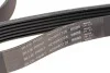 Ремень генератора Opel Vectra/Omega/Peugeot 206/Audi A6 2.5TDI 94-/ Chevrolet Captiva 2.4 06- BLUE PRINT AD06R1725 (фото 3)