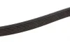 Ремень генератора Hyundai Santa Fe 12-15/ Jeep Patriot 2.4 08- BLUE PRINT AD06R2550 (фото 2)