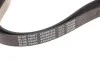 Ремень генератора Hyundai Santa Fe 12-15/ Jeep Patriot 2.4 08- BLUE PRINT AD06R2550 (фото 3)
